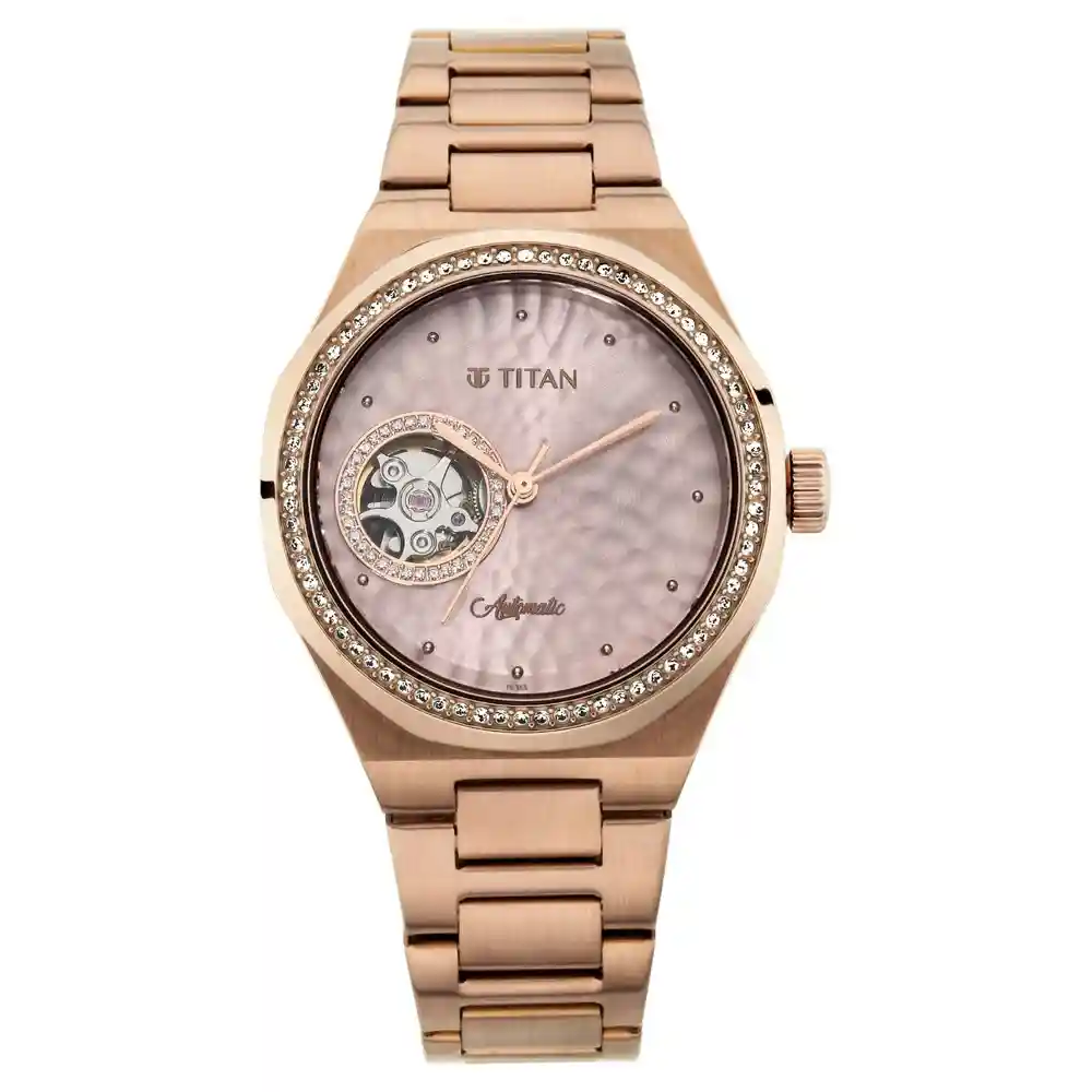 Animalia Watch From Titan 95131QM01