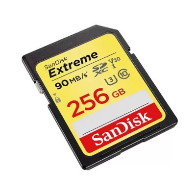 Sandisk Extreme 90MB C10 Camera 256GB