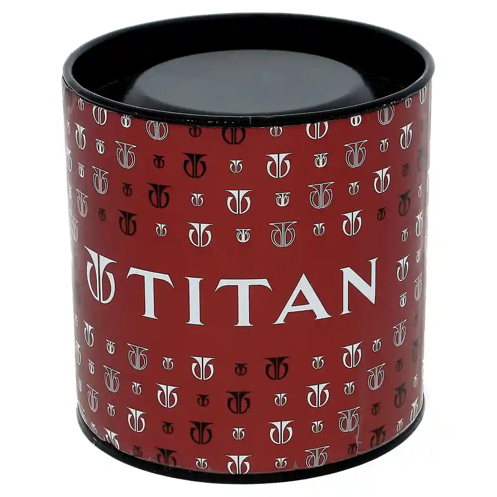 Titan Black Dial Metal Strap Watch 1824YM01
