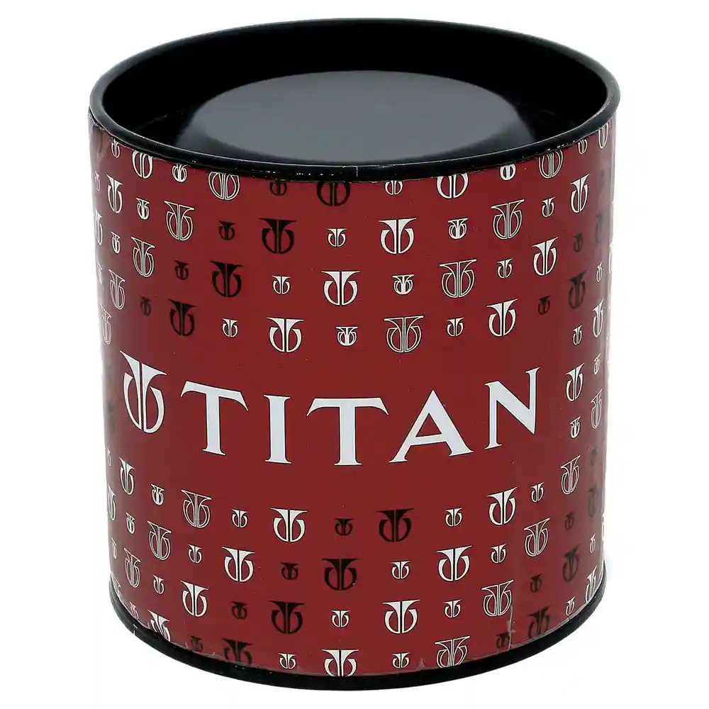 Titan Silver Dial Analog Watch 2638BM01